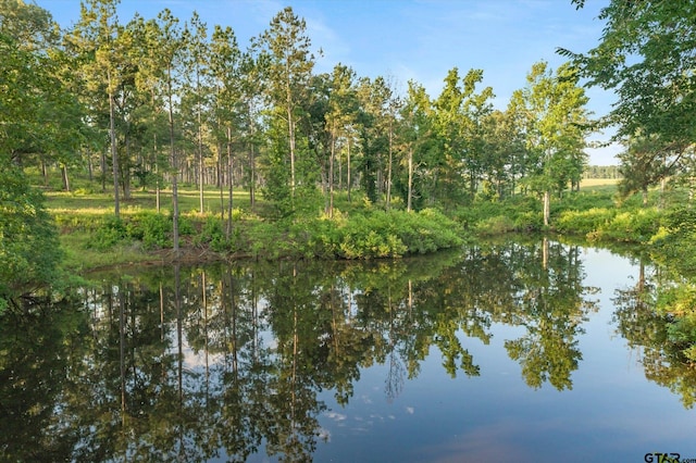 view of water feature