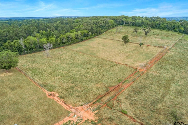 drone / aerial view featuring a rural view