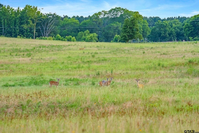 view of nature with a rural view