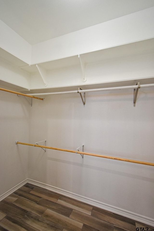 walk in closet featuring dark wood-style floors