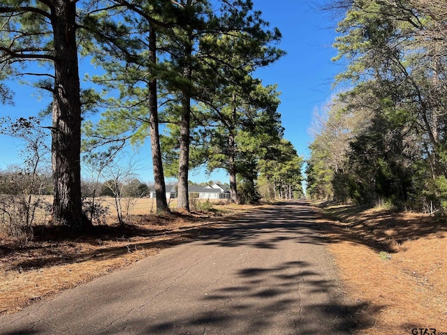 TBD Cr 4840, Winnsboro, TX 75494 - photo 1