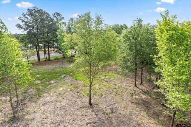 TBD Fm 2152, Mount Pleasant, TX 75455 - photo 11