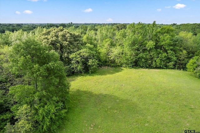 TBD Fm 2152, Mount Pleasant, TX 75455 - photo 13