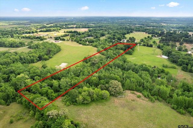 TBD Fm 2152, Mount Pleasant, TX 75455 - photo 4