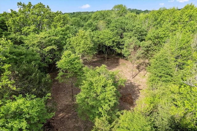 TBD Fm 2152, Mount Pleasant, TX 75455 - photo 12