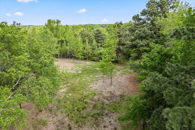 TBD Fm 2152, Mount Pleasant, TX 75455 - photo 10