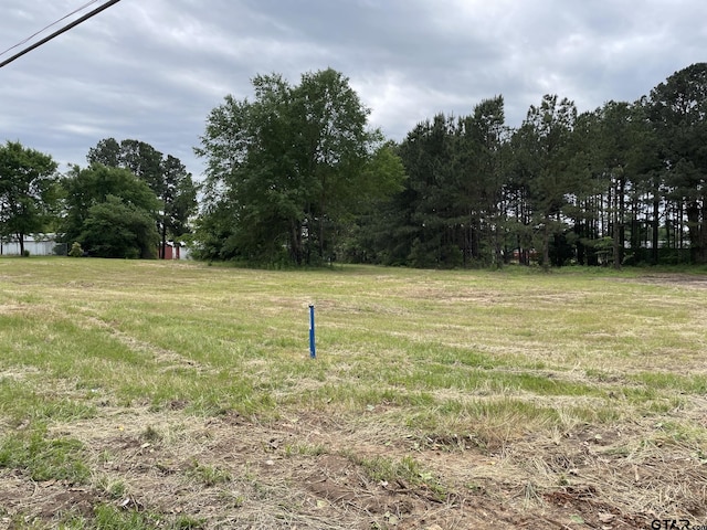 TBD Harris St, Hawkins, TX 75765 - photo 4
