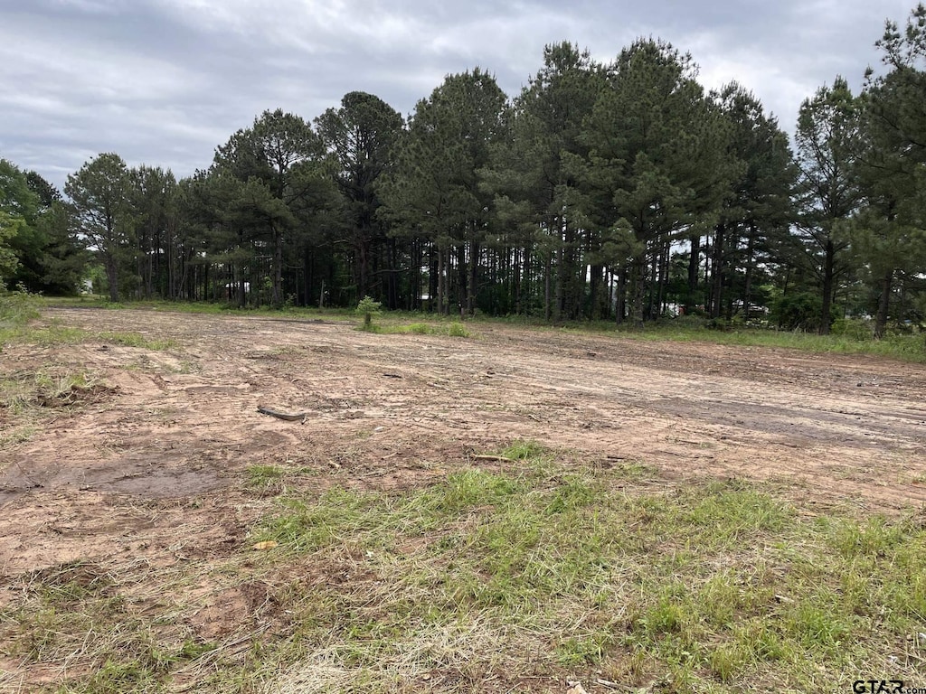 TBD Harris St, Hawkins, TX 75765 - photo 3