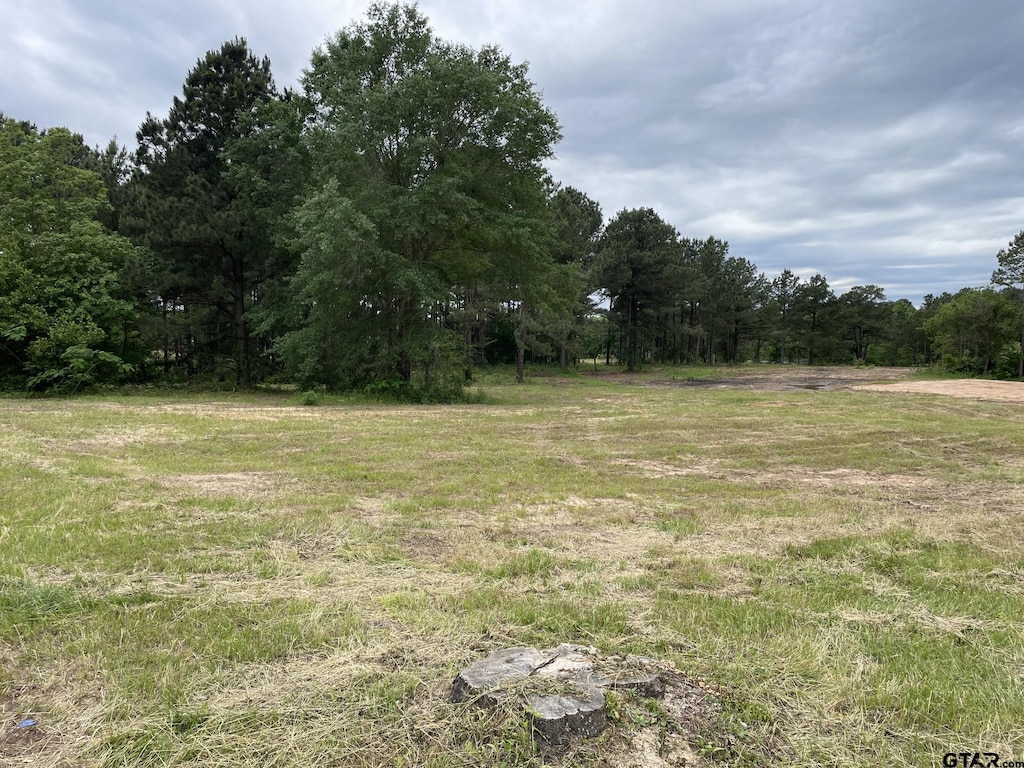 TBD Harris St, Hawkins, TX 75765 - photo 1