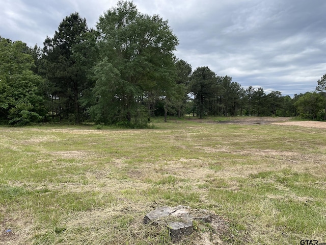 TBD Harris St, Hawkins, TX 75765 - photo 1