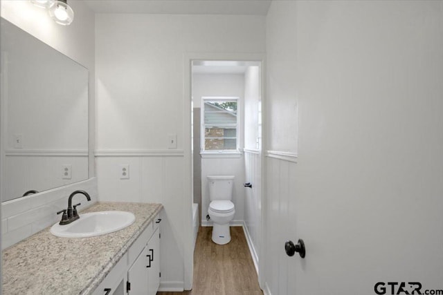 bathroom featuring vanity, wainscoting, toilet, and wood finished floors