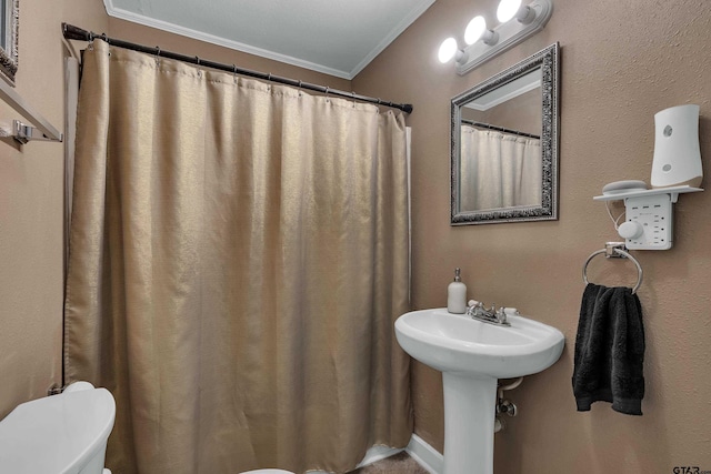 bathroom featuring toilet, crown molding, and a sink