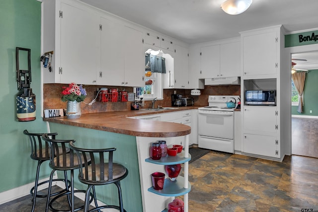 kitchen with a sink, decorative backsplash, under cabinet range hood, and white range with electric stovetop