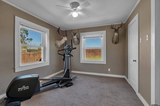 workout room with baseboards, carpet, ceiling fan, and crown molding