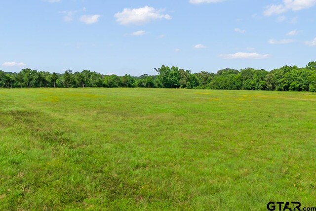 TBDTRACE2 Maple Springs Rd, Hallsville, TX 75650 - photo 17