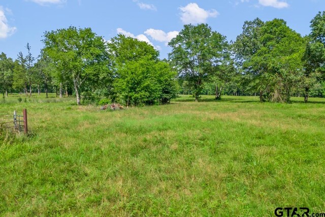 TBDTRACE2 Maple Springs Rd, Hallsville, TX 75650 - photo 18