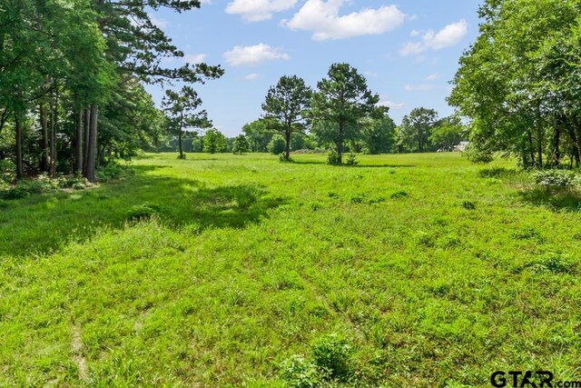 TBDTRACE2 Maple Springs Rd, Hallsville, TX 75650 - photo 7