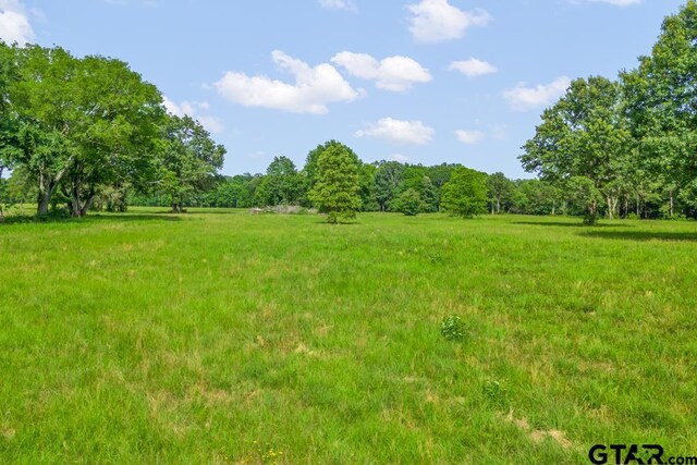 TBDTRACE2 Maple Springs Rd, Hallsville, TX 75650 - photo 8