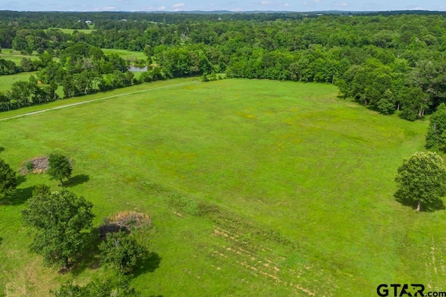 TBDTRACE2 Maple Springs Rd, Hallsville, TX 75650 - photo 19