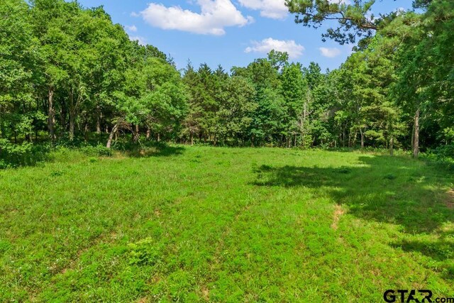 TBDTRACE2 Maple Springs Rd, Hallsville, TX 75650 - photo 5