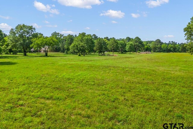 TBDTRACE2 Maple Springs Rd, Hallsville, TX 75650 - photo 16