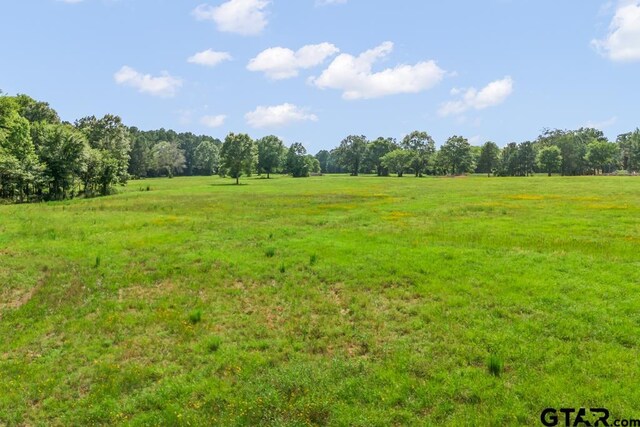 TBDTRACE2 Maple Springs Rd, Hallsville, TX 75650 - photo 15