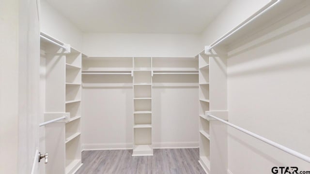 spacious closet featuring light hardwood / wood-style flooring