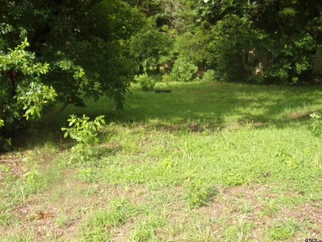 187 Holly Ln, Murchison, TX 75778