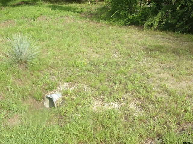 187 Holly Ln, Murchison, TX 75778