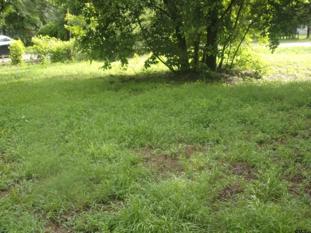 187 Holly Ln, Murchison, TX 75778