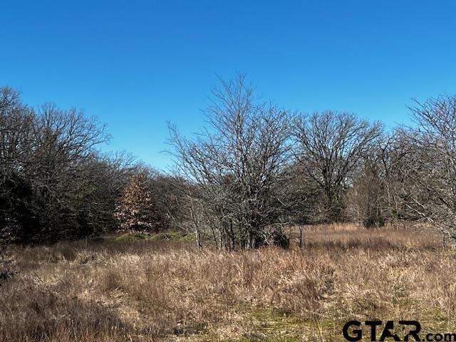 Listing photo 2 for 00 County Rd 2813, Eustace TX 75124