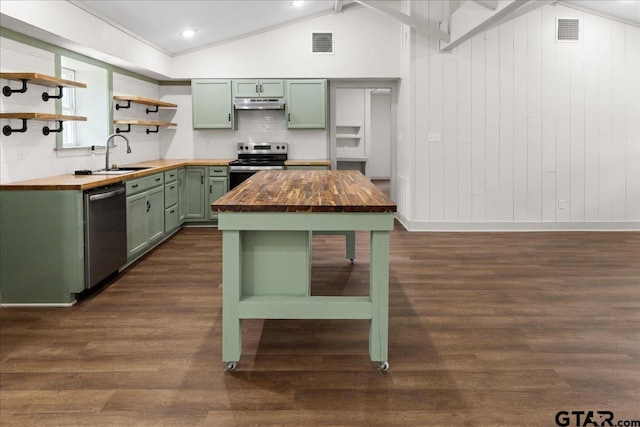 kitchen featuring sink, dark hardwood / wood-style flooring, green cabinets, appliances with stainless steel finishes, and wood counters