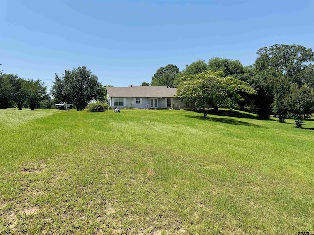 39 County Road 2933, Pittsburg, TX 75686 - view of green lawn