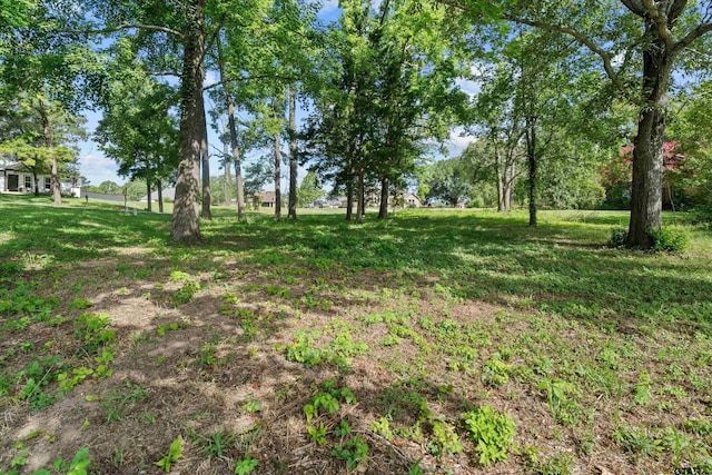 14502 Garden Valley Dr, Lindale, TX 75771 - photo 5