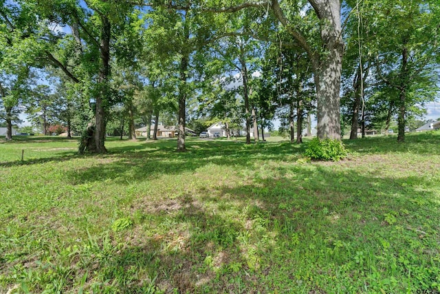 14502 Garden Valley Dr, Lindale, TX 75771 - photo 6
