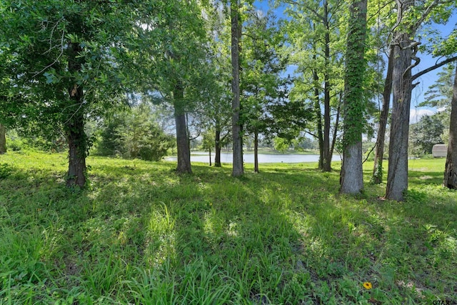 14502 Garden Valley Dr, Lindale, TX 75771 - photo 2