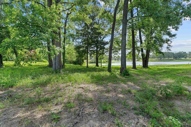 14502 Garden Valley Dr, Lindale, TX 75771 - photo 3