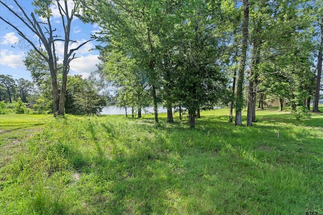 14502 Garden Valley Dr, Lindale, TX 75771 - photo 4