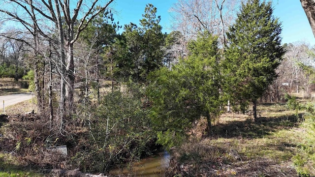 TBD County Road 2143, Troup, TX 75789 - photo 7