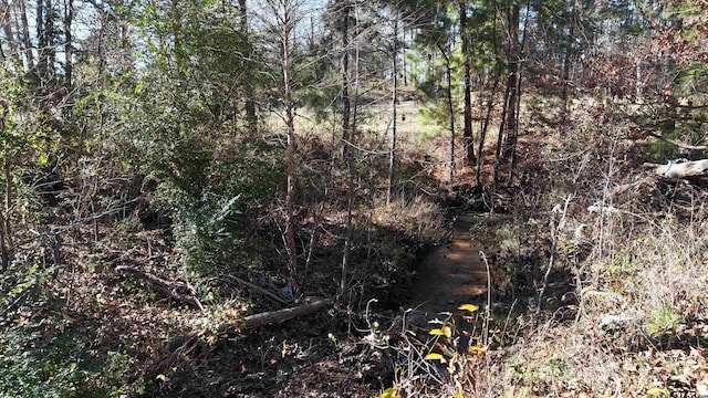 TBD County Road 2143, Troup, TX 75789 - photo 8