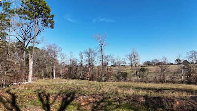 TBD County Road 2143, Troup, TX 75789 - photo 6