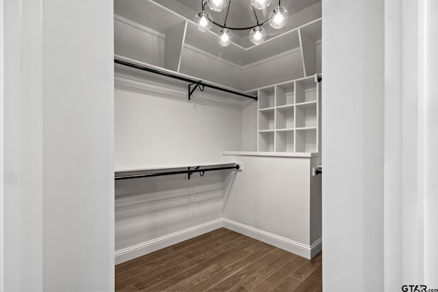 walk in closet with dark hardwood / wood-style flooring and a chandelier