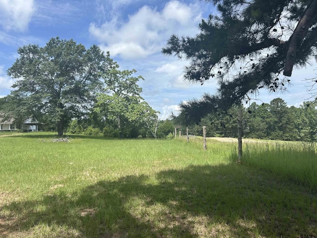 TBD Front, Arp, TX 75750 - photo 2