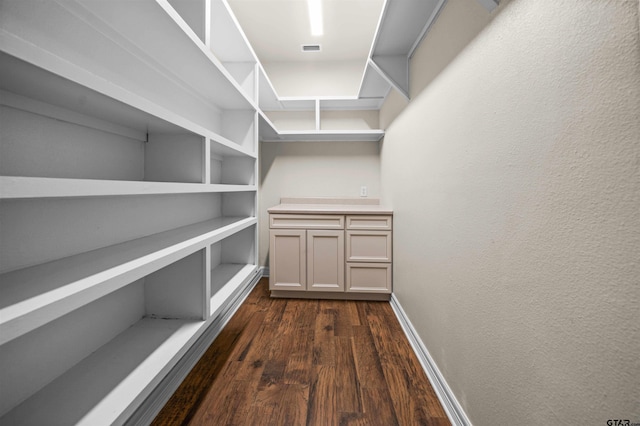 spacious closet featuring dark wood-type flooring