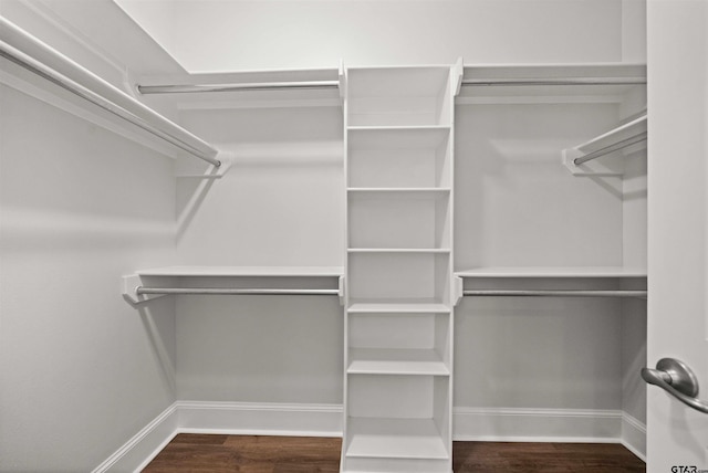 spacious closet featuring hardwood / wood-style floors