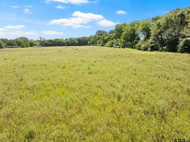 TBD Cr 1342, Mount Pleasant, TX 75455 - photo 3