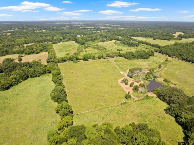 TBD Cr 1342, Mount Pleasant, TX 75455 - photo 10