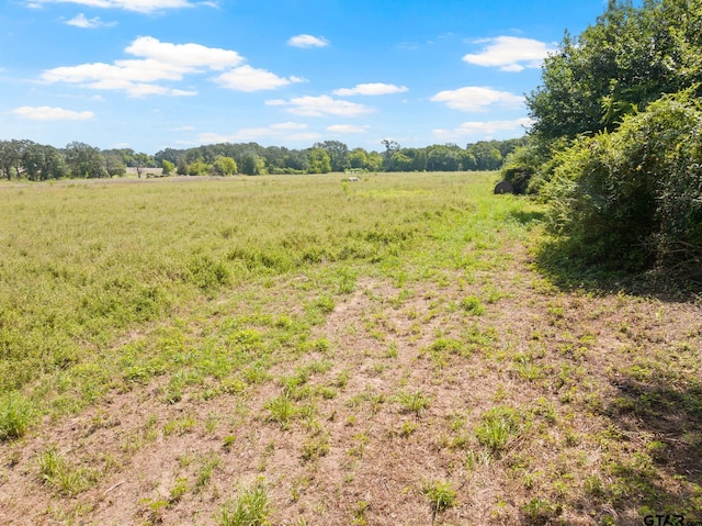 TBD Cr 1342, Mount Pleasant, TX 75455 - photo 2