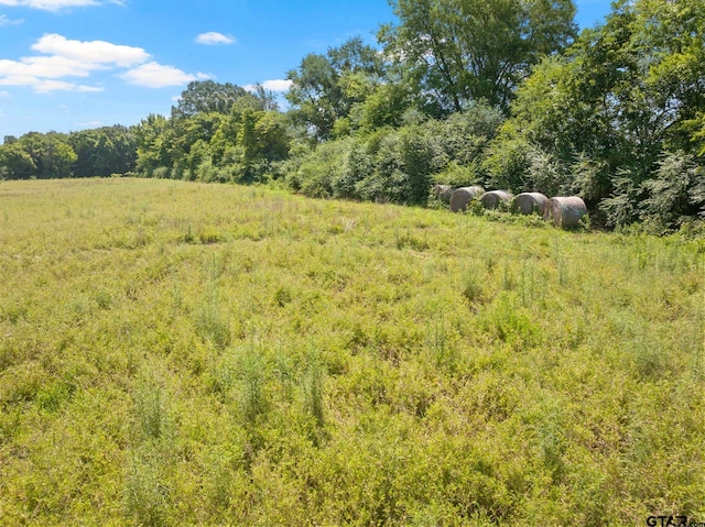 TBD Cr 1342, Mount Pleasant, TX 75455 - photo 4