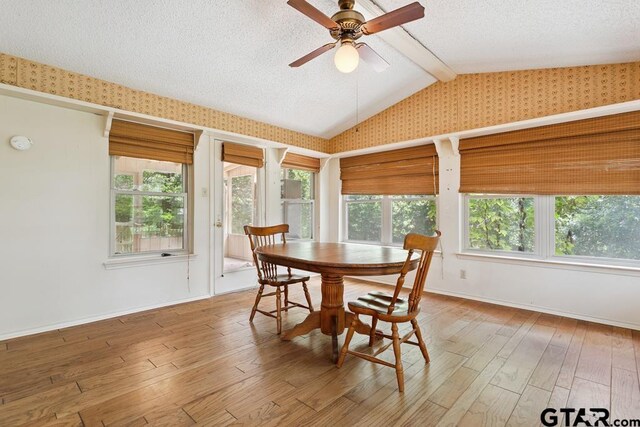 227 Brookside Dr, Hideaway, TX 75771 - photo 19